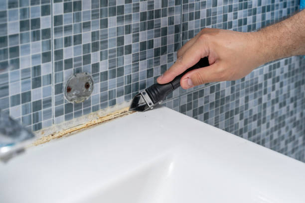 Best Same-Day Mold Removal  in San Miguel, CA