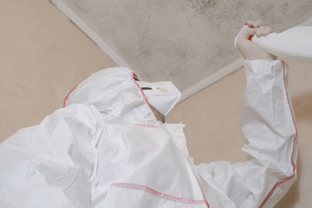 Best Toxic Mold Removal  in San Miguel, CA